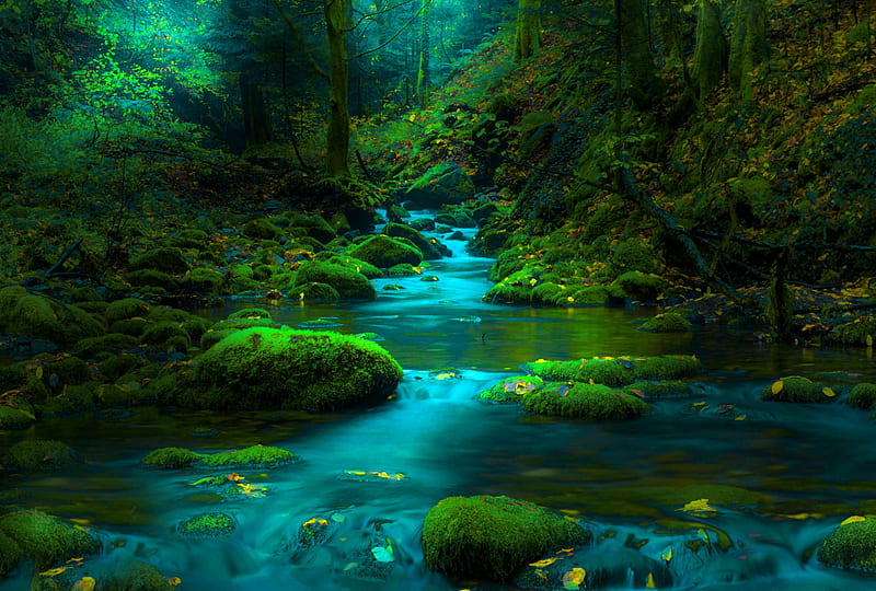 Earth, Stream, Greenery, Moss, Nature, Stone, HD wallpaper