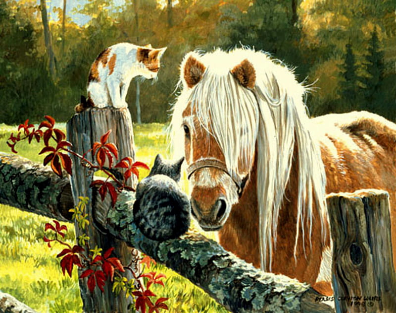 The visit, fence, trees, grey cat, white and ginger cat, leaves, two cats, painting, pony, pasture, cats, HD wallpaper