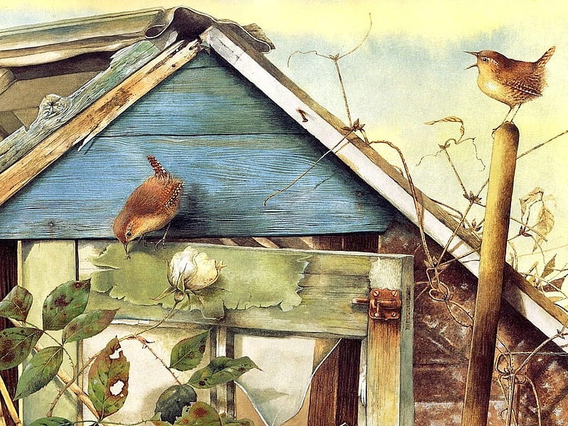 Wren House, painting, birds, birdhouse, wrens, abstract, HD wallpaper