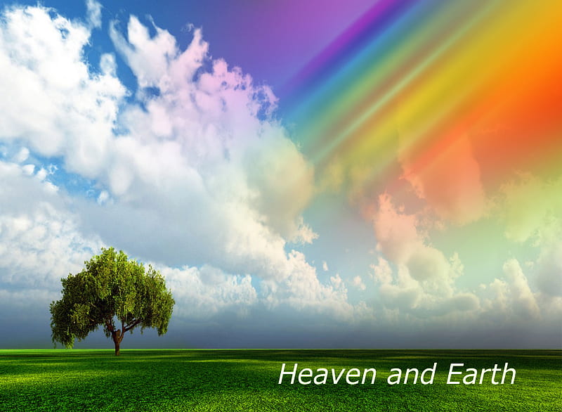 Heaven And Earth Meets, grass, trees, clouds, rainbows, skies, heaven, beauty, nature, fields, earth, light, HD wallpaper
