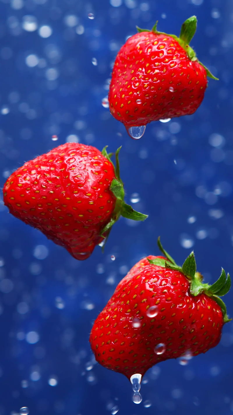 Strawberries, fruit, food, fruits, red, nature, water, blue, HD phone  wallpaper | Peakpx