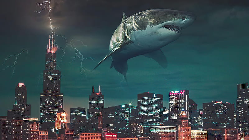 City Sharks , shark, manipulation, city, artist, artwork, digital-art, HD wallpaper