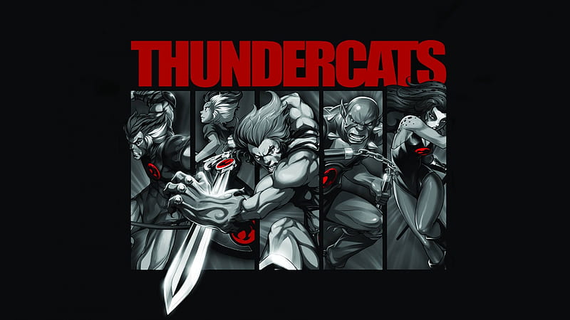 Thundercats, cartoon, series, TV, HD wallpaper