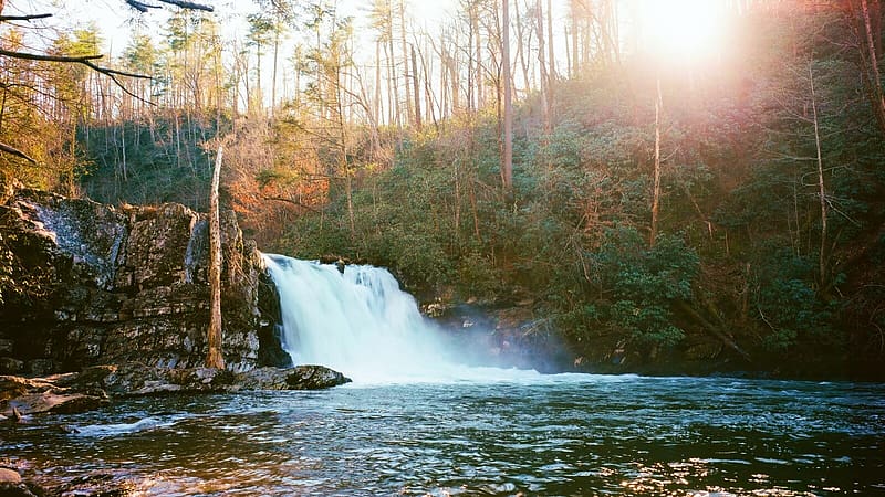 Abrams Falls, Smoky Mountains, Tennessee, cascade, pond, river, trees, landscape, usa, HD wallpaper