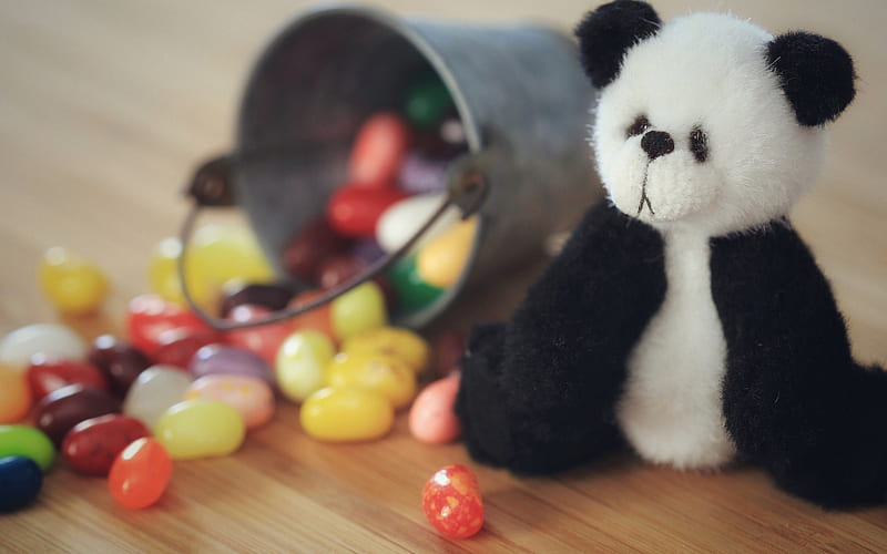 panda, toy, cute animals, teddy bear, HD wallpaper
