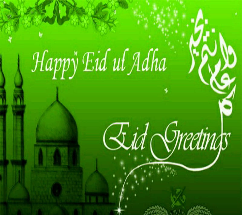 Happy Eid ul adha, bakra eid, eid ul azha mubarak, holy occasion, muslims, HD wallpaper