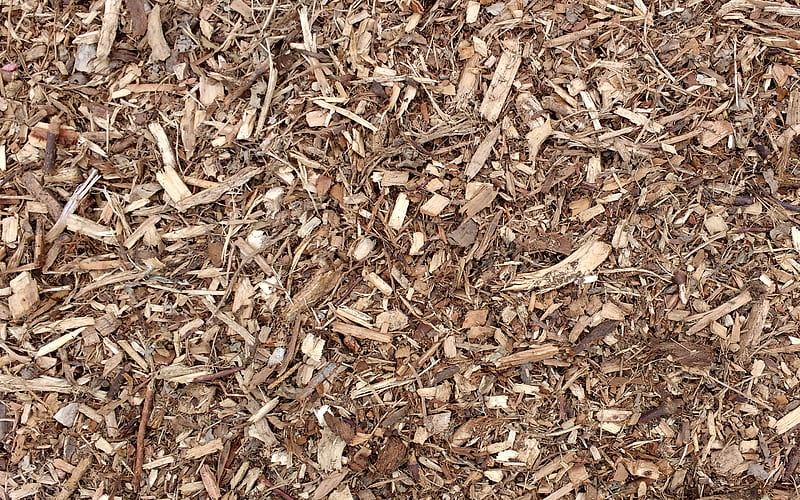 wood chips texture, background with wood chips, wood texture, background with wood, chips texture, HD wallpaper