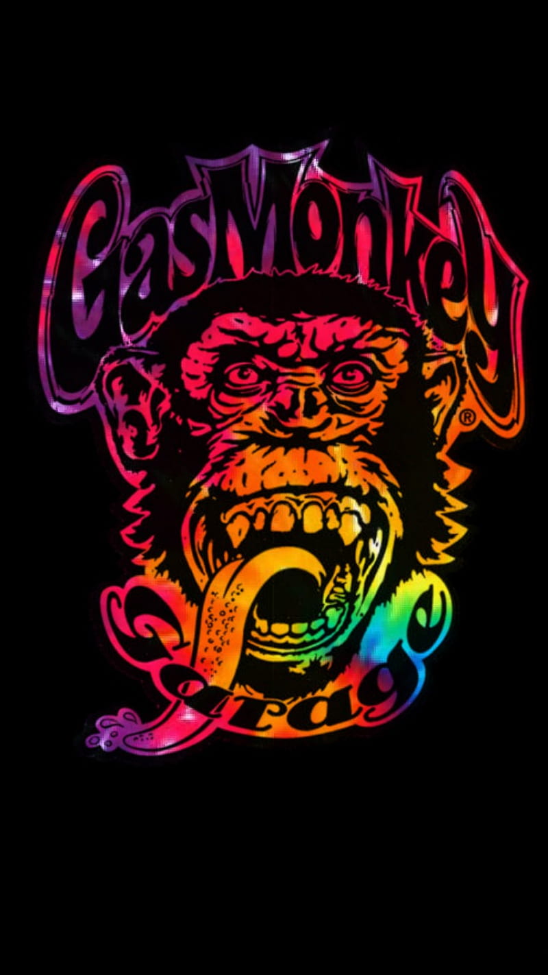 Gas monkey, rainbow, HD phone wallpaper
