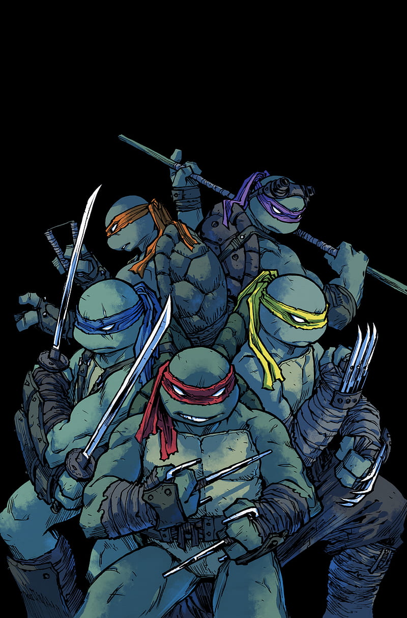 Teenage Mutant Ninja Turtles, Sophie Campbell, IDW, comics, HD phone wallpaper