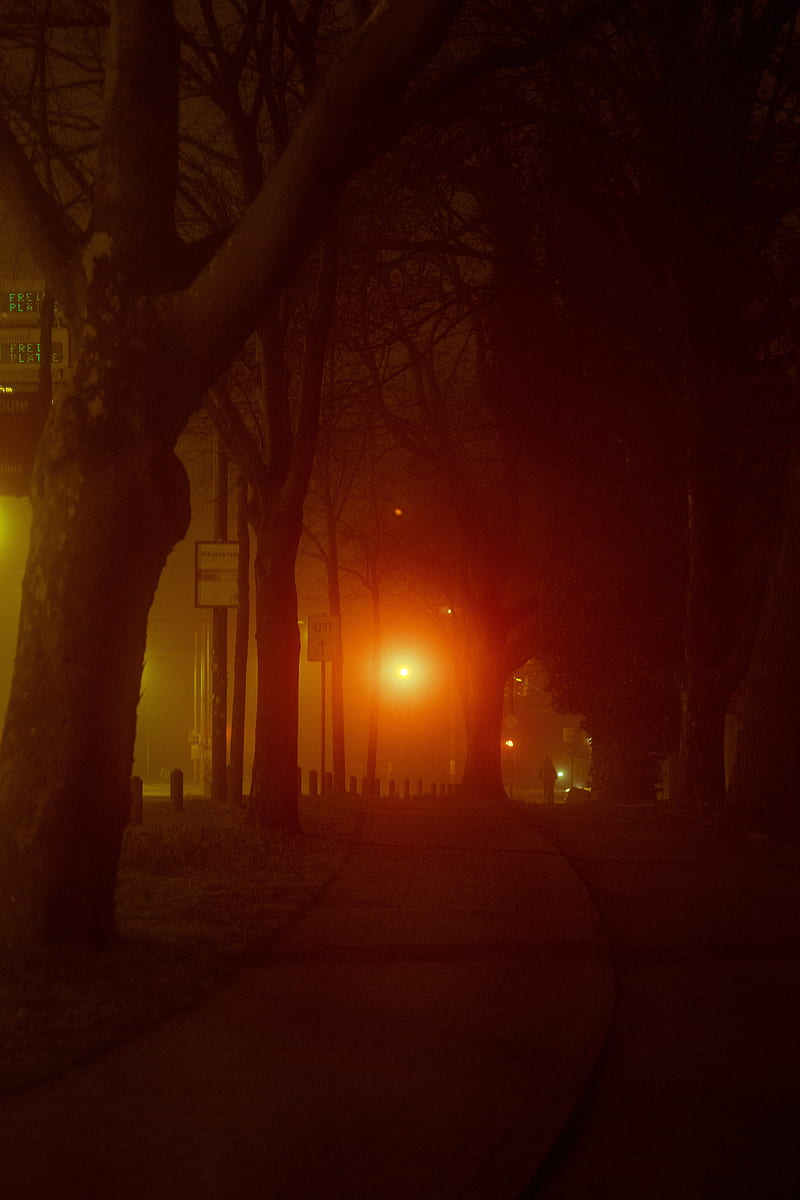 lantern, light, trees, road, silhouette, dark, HD phone wallpaper