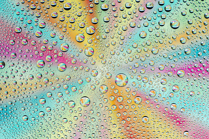 drops, wet, macro, colorful, gradient, HD wallpaper