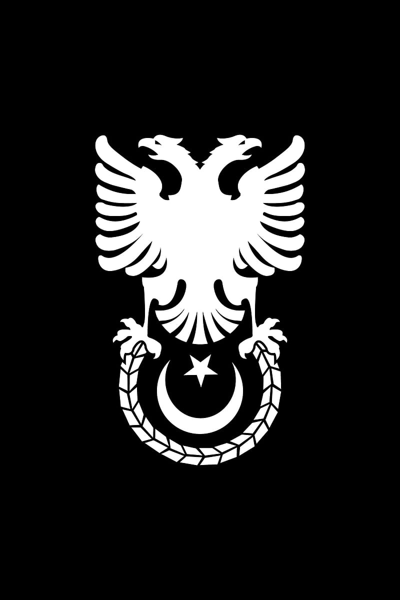 Turkish Eagle, albania, flag, black, double, eagle, headed, kartal, selcuklu, turkey, turkish, HD phone wallpaper