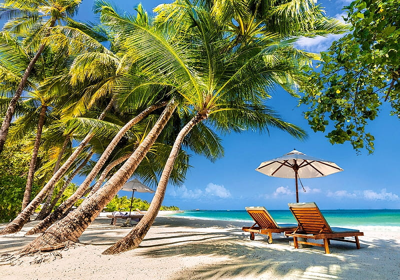 Leisure in Paradise, lounger, umbrella, beach, palms, sea, HD wallpaper
