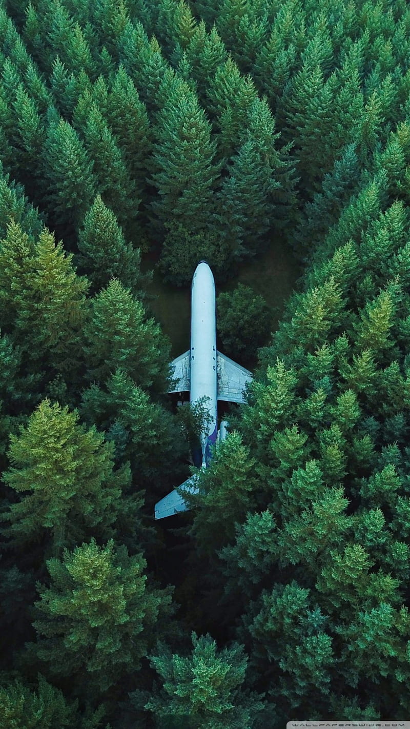 Aeroplane in forest, abandon, nature, HD phone wallpaper