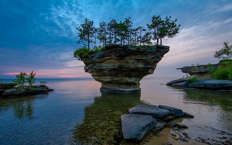 Rock, Tree, , Michigan, Turnip Rock, HD wallpaper