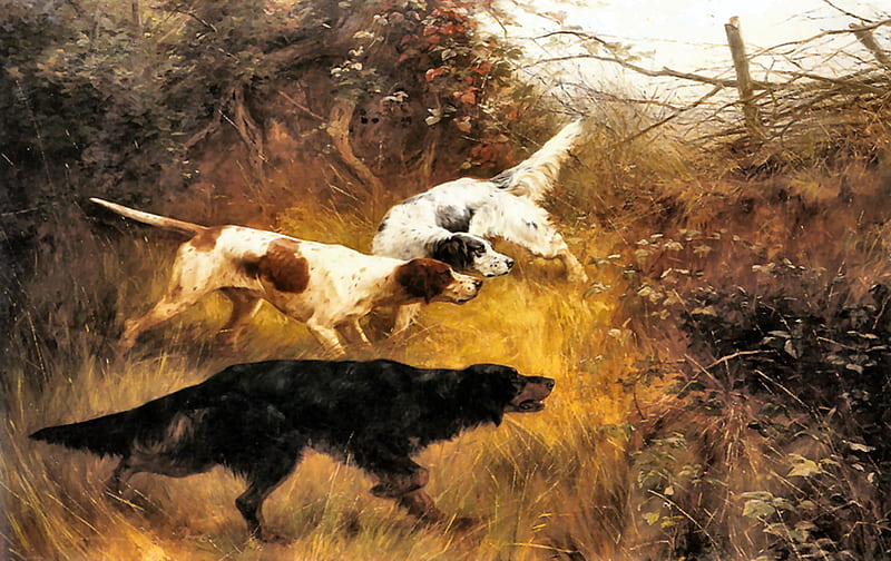 Three Pointers in a Landscape - Dogs, art, old master, bonito, pets, illustration, artwork, canine, animal, Thomas Blinks, Blinks, painting, wide screen, dogs, HD wallpaper