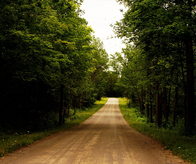 Rural Route, country, dirty, green, light, path, road, tree, trees, HD wallpaper