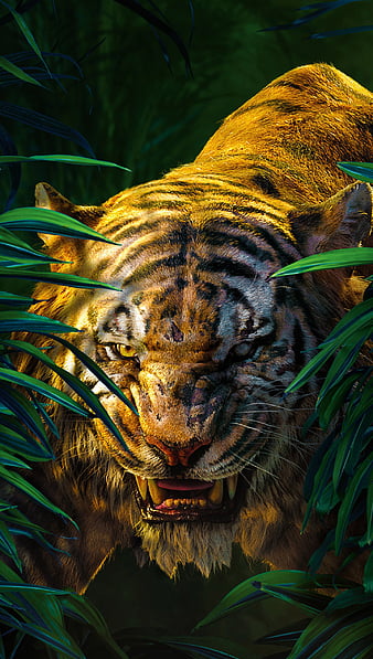 Tiger Face Stock Photos and Images - 123RF
