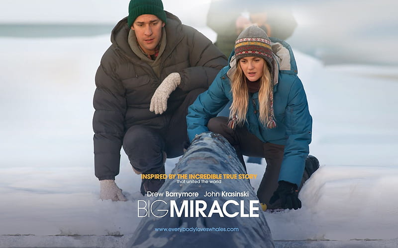 Big Miracle 2012 Movie s 01, HD wallpaper