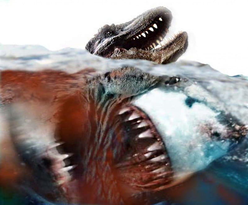 megalodon vs tyrannosaurus, tiburon, prehistoric, giants, rex, HD wallpaper