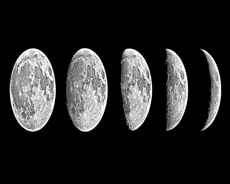 Lunar Phases, phases, moons, night skies, HD wallpaper | Peakpx