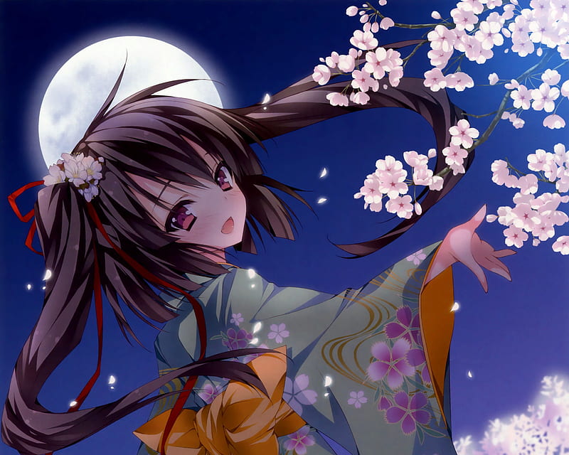Blossom Night, sakura blossom, floral, cherry blossom, blossom, moon, anime,  HD wallpaper | Peakpx