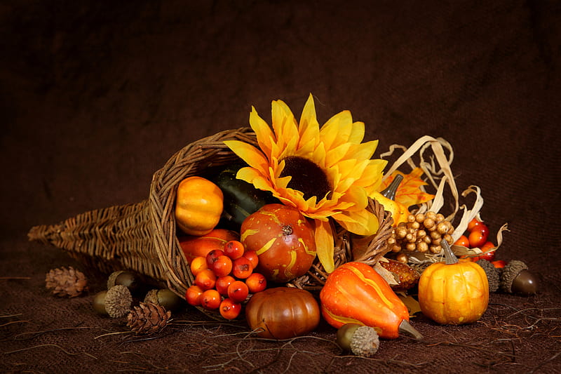 Cornucopia~Thanksgiving, Fall, acorns, sunflower, gourds, horn of plenty, pine cones, still life, nuts, leaves, Thanksgiving, cornucopia, berries, pumpkin, Autumn, pumpkins, HD wallpaper