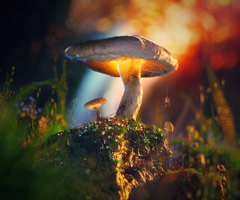 mushrooms, spider, macro, glow, 3d, HD wallpaper