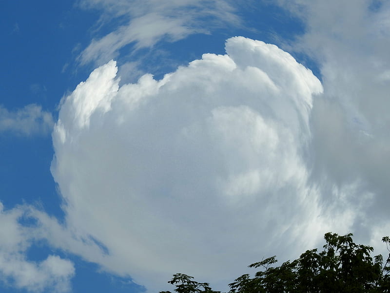 Clouds In Fisheye, Fisheye graphy, Clouds, Sky, Mind Teasers, graphy, Nature, HD wallpaper