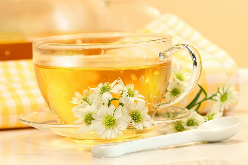 Spot of tea, hot, teatime, herbal, beverage, HD wallpaper