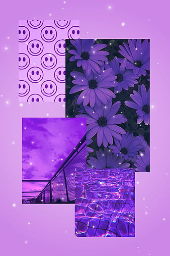Purple aesthetic, aesthetic, flower, purple, HD phone wallpaper | Peakpx
