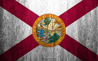 Florida Flag Images  Free Download on Freepik