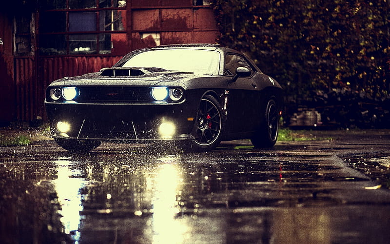 Dodge Challenger 4, dodge-challenger, carros, rain, HD wallpaper