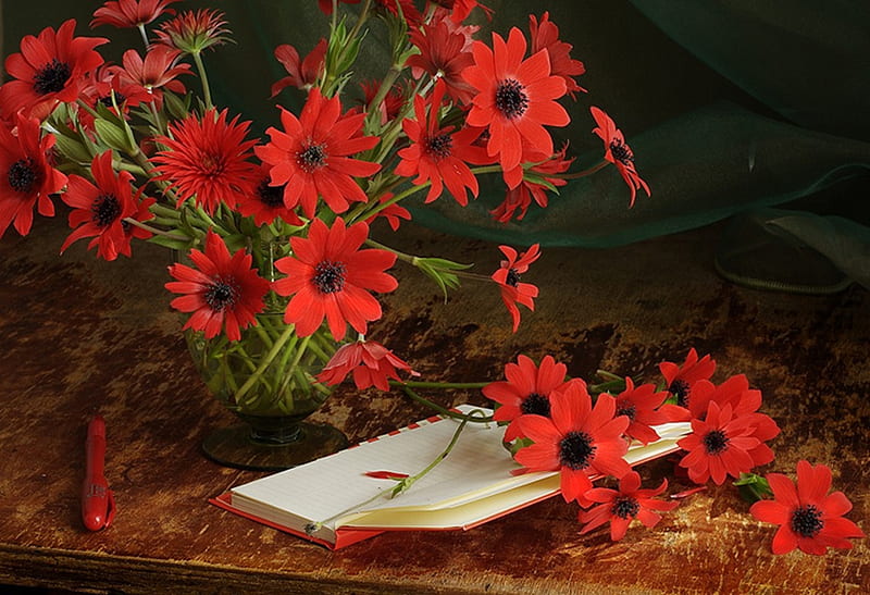 Nothing to say,but to write, table, vase, red gerbera daisies, red pen, still life, diary, red flowers, flowers, nature, HD wallpaper