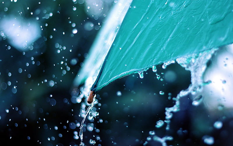 rain, big rain, umbrella, water, drops, HD wallpaper