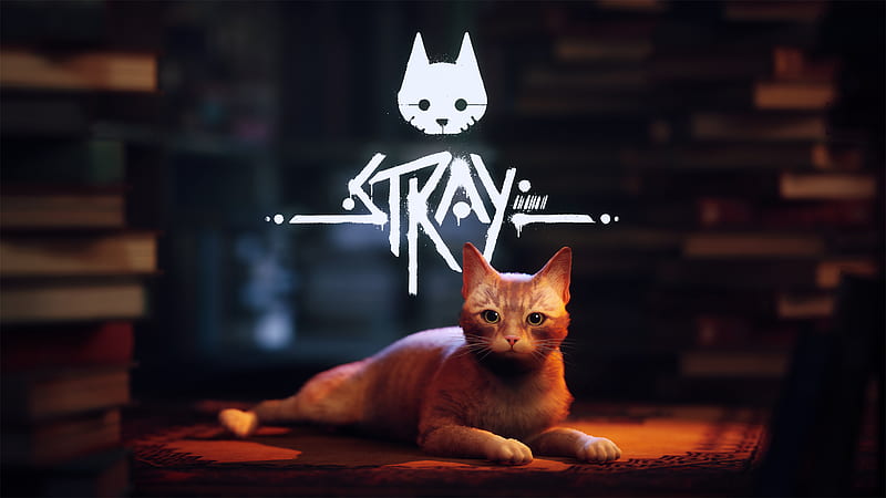 New Stray Gaming 2022, HD wallpaper