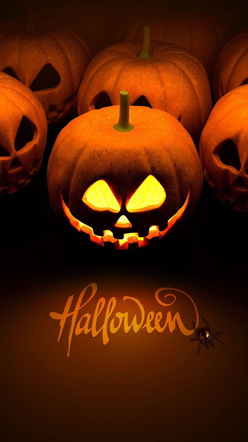 Halloween, pumpkin, halloween pumkin, scary, witch, halloween favorites, favorites, theme, happy, skull, HD phone wallpaper