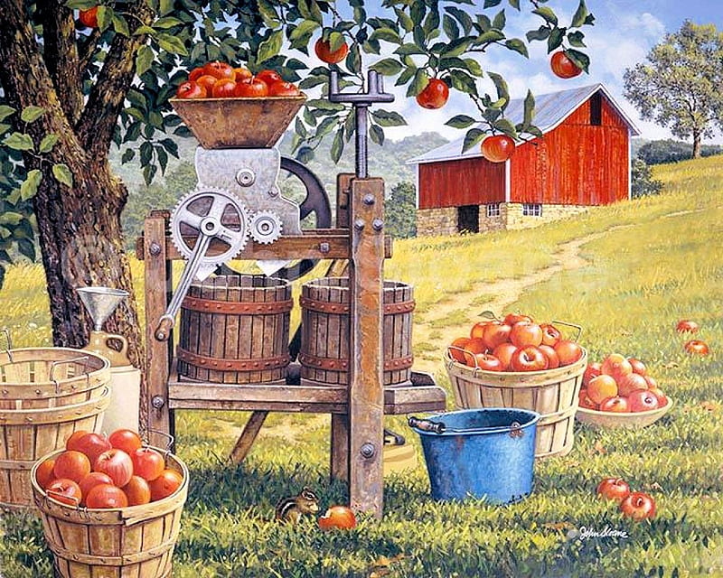 Cider Time, countryside, tree, apples, basket, painting, barn, artwork, HD wallpaper