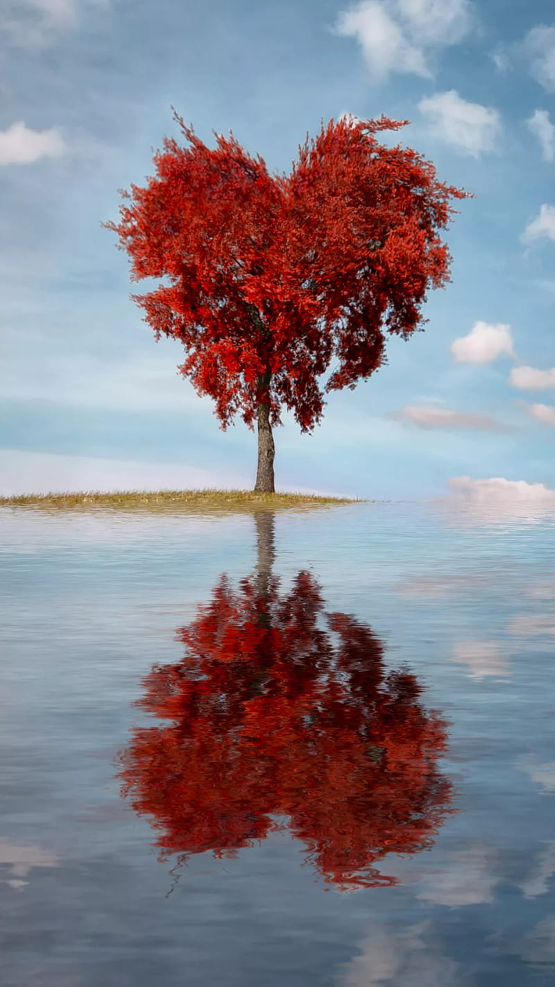 Red heart tree, love, tree, red, heart, lake, reflection, water, HD phone wallpaper