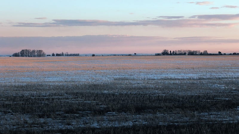 Prairie, early spring, Western Canada, Frost, Canada, Alberta, Queen Elizabeth Highway, Prairie, HD wallpaper