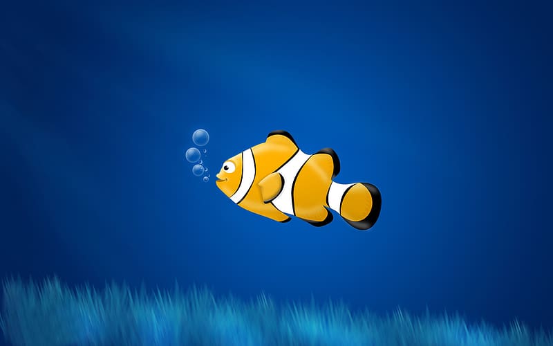 Clownfish Aquarium Live Wallpaper Background, Show Me A Picture Of A Clown  Fish Background Image And Wallpaper for Free Download