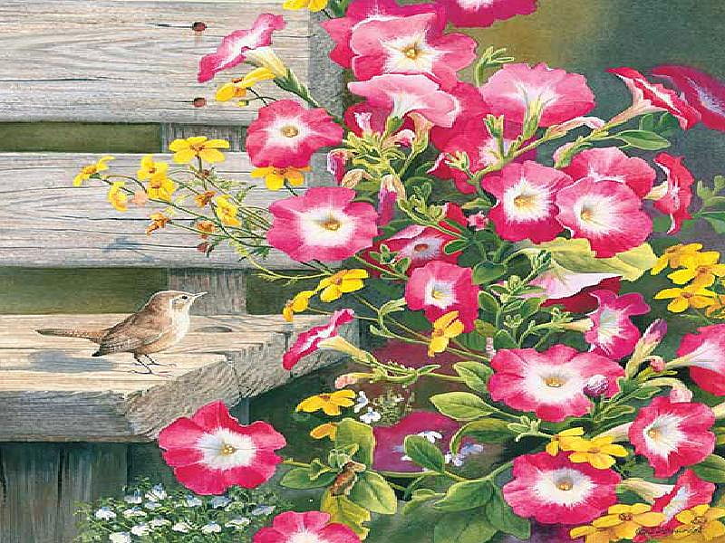 Country Garden, wren, flowers, bench, yellow, pink, HD wallpaper