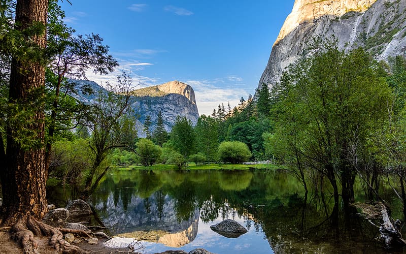 Mountain, Lake, Reflection, Tree, , Cliff, California, National Park ...