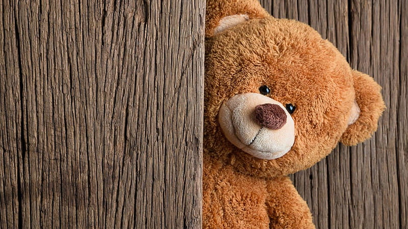 Brown Teddy Bear In Wood Wall Background Teddy Bear, HD wallpaper