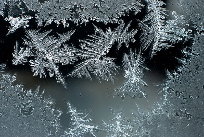 Frost, nice, cool, ornament, winter, HD wallpaper | Peakpx