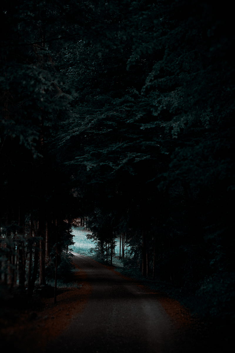 Gray Road Between Forest Hd Phone Wallpaper Peakpx