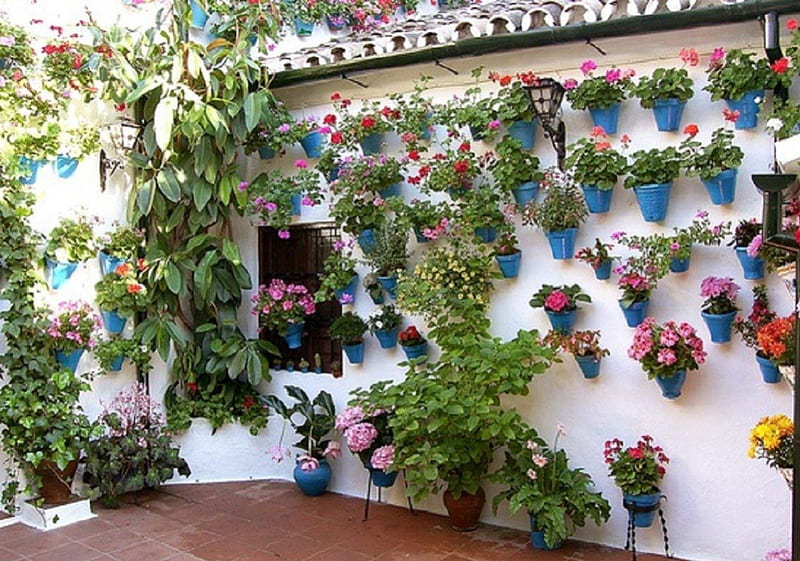 Cordoba's Secret Gardens, garden, flowers, nature, cordoba, HD ...