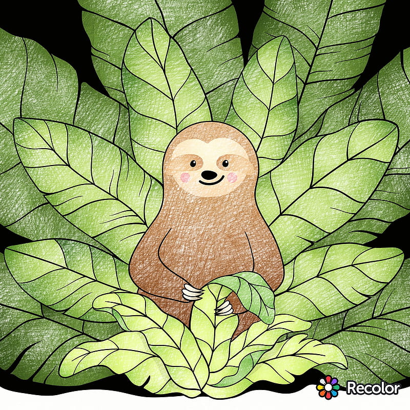 Cutie Sloth, baby sloth, green, HD phone wallpaper