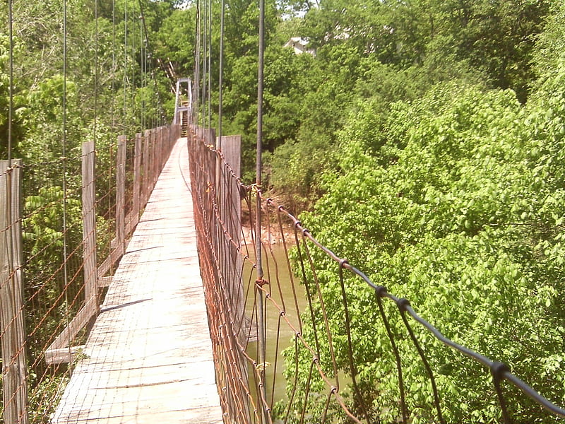 Swinging bridge, Shenandoah Co. Va., swinging, trees, bridge, green, HD wallpaper