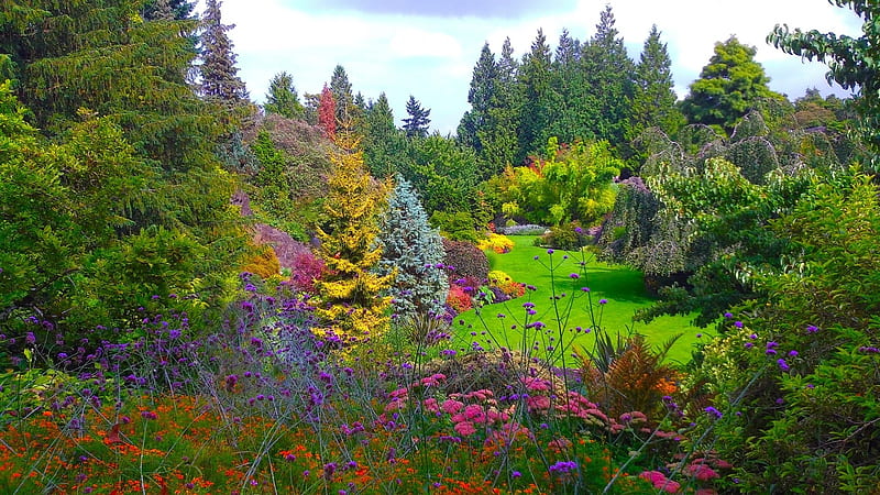 Queen Elizabeth Garden, grass, trees, shrubs, bushes, Vancouver, Canada, flowers, garden, Vancouver Canada, HD wallpaper
